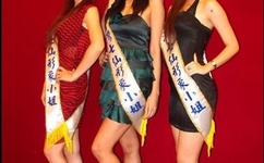 奇皇后电视剧全集免费观看完整版